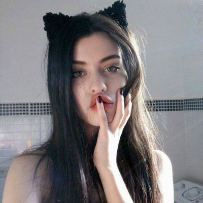 元宝派正式上线电脑版