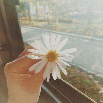 美国债市：美国国债维持涨势 尽管5年期债券发行疲软