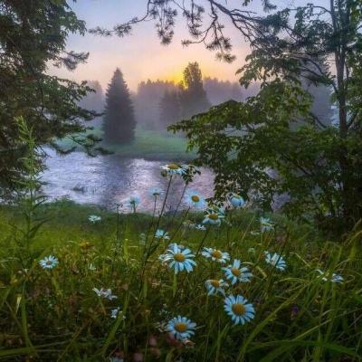 今天，沪指重返3900点！美团、泡泡玛特引关注