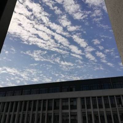 零点自动化荣获维科杯两项行业殊...