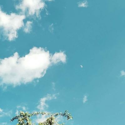 传美方15点停战方案已递交伊朗，内塔尼亚胡被曝下令48小时内“全力”空袭伊朗